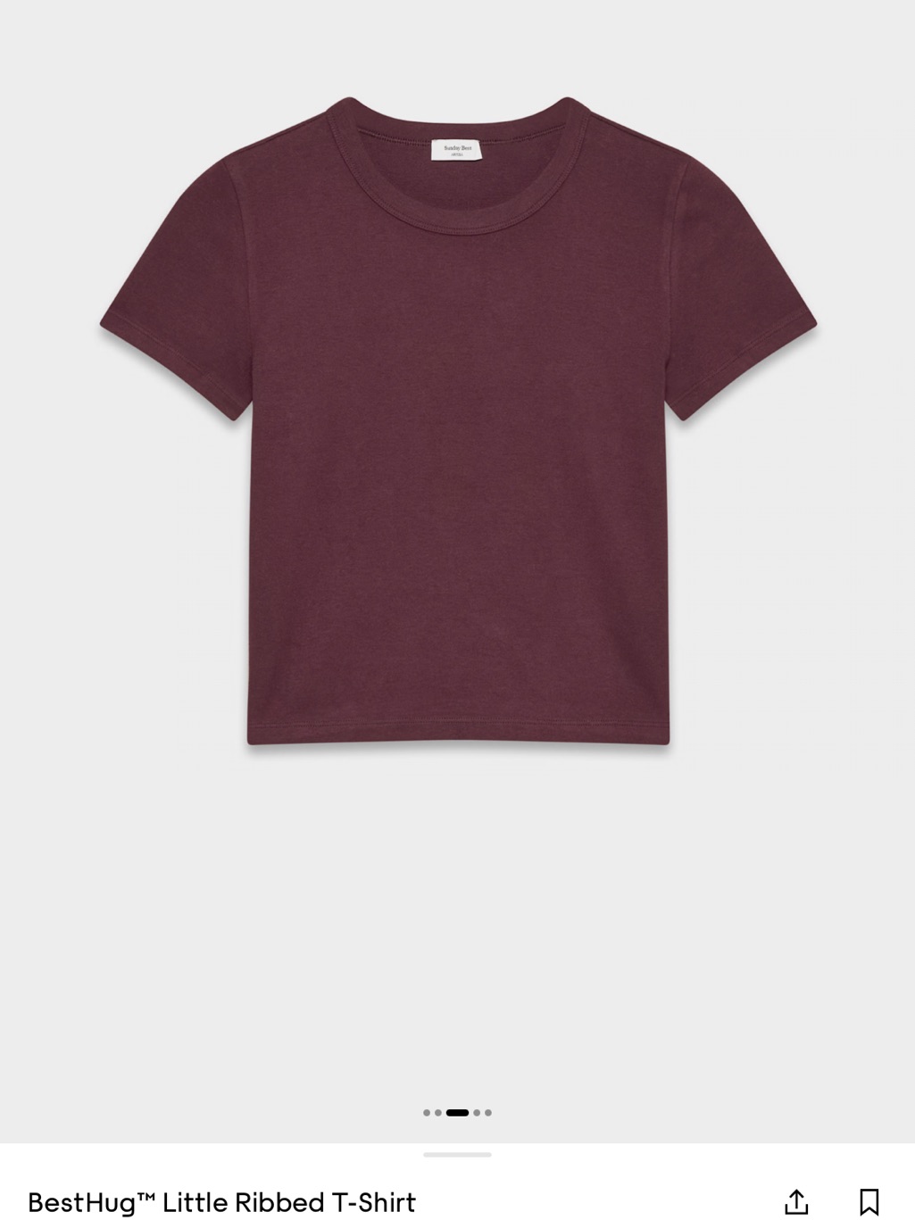 Aritzia Besthug Little Ribbed T-Shirt